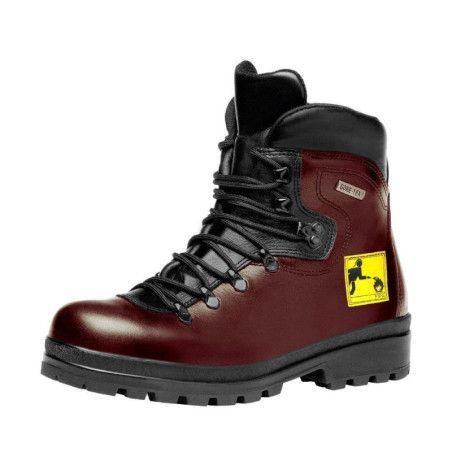 Calzado gtx zafiro