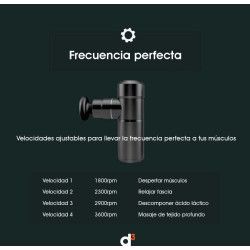 Pistola de Masaje D3 Therapeutic Minigun