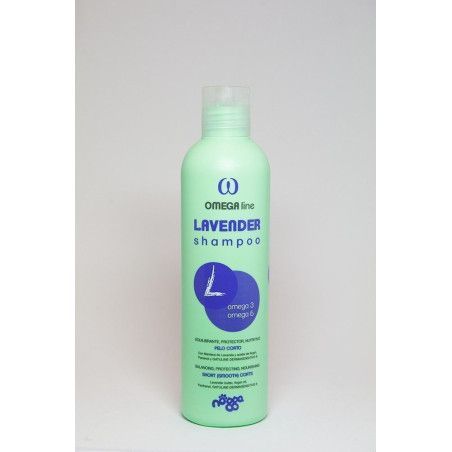 LAVENDER SHAMPOO