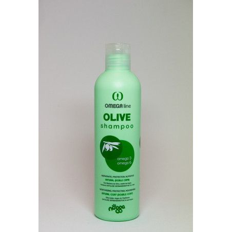 OLIVE SHAMPOO