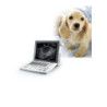 ECOGRAFO PORTATIL DOPPLER COLOR SONOVET R3