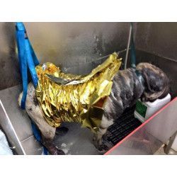 Manta térmica de rescate plata/oro