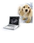 Ecógrafo veterinario